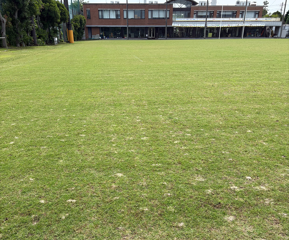 劇的な土壌改善とコスト削減1